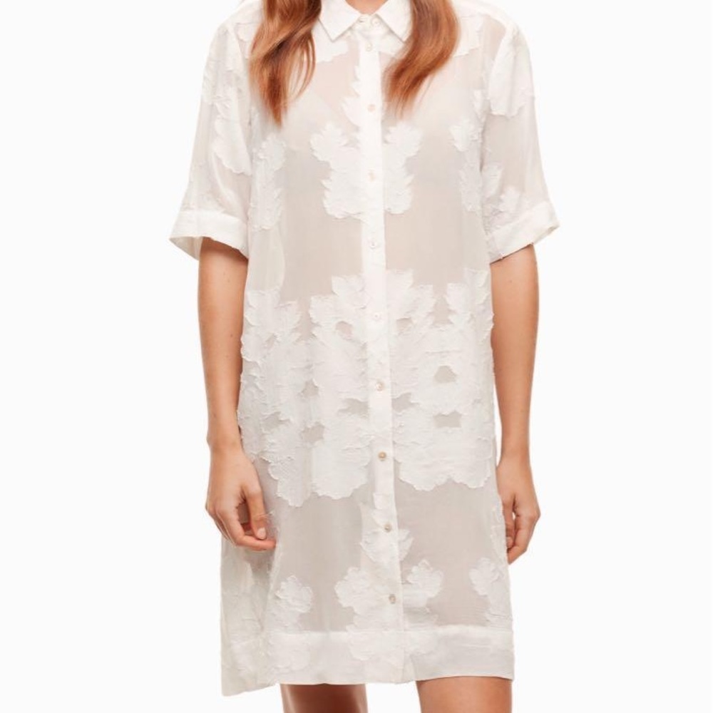 Wilfred Hemistiche Dress